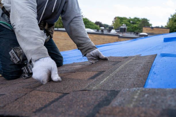 Best Roof Gutter Cleaning  in Byrnes Mill, MO